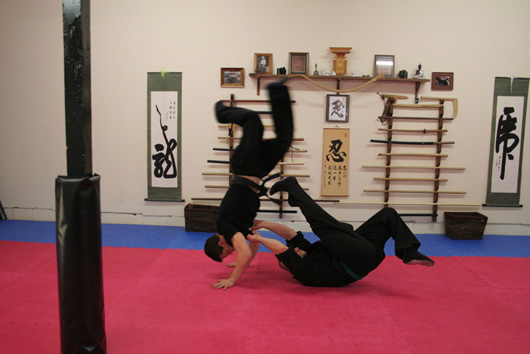 A student mid-air landing a breakfall from a throw.